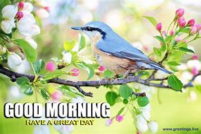 Image result for Good Morning Dear Friend Spring