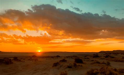 San Bernardino County Desert: California's High Desert Region