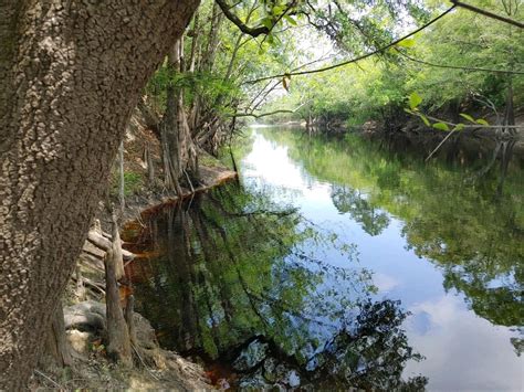 Lot 1 Baker Blvd/County Road 4, Saint George, GA 31562 | MLS: 20126635 ...