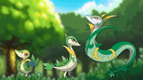 Snivy Pokemon Evolution Chart