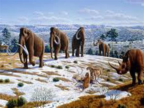 Scientists resurrect mutated genes from a mammoth