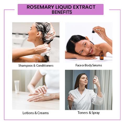 Rosemary Liquid Extract Online at Best Price in India – VedaOils