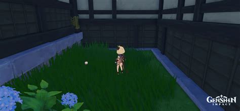 Inazuma Chests 的图像结果