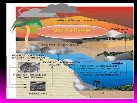 Image result for Spring Box Structure
