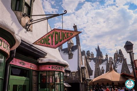 The Wizarding World of Harry Potter : Hogsmeade - Hello Disneyland