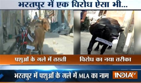 राजस्थान में विरोध का अनोखा तरीका, सुबह-सुबह घर के बाहर पहुंचे विधायक ...