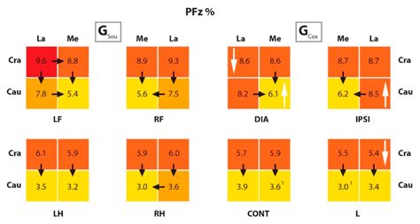 Comparison of the Vertical Force Distribution in the Paws of Dogs with ...
