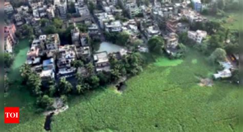 Look before you purchase: Web portal to help identify plots in East ...