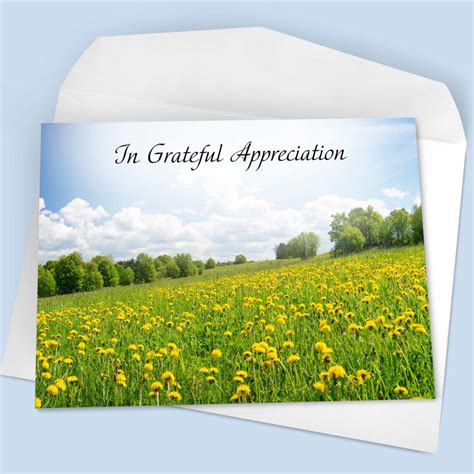 Acknowledgment Types 的图像结果