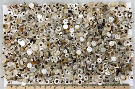 Image result for Bright Blue Shell Buttons