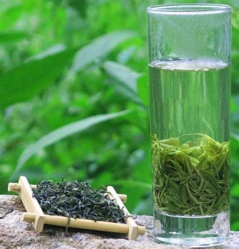 【石笕茶】石笕茶的功效与作用_喝石笕茶的好处与禁忌_绿茶说