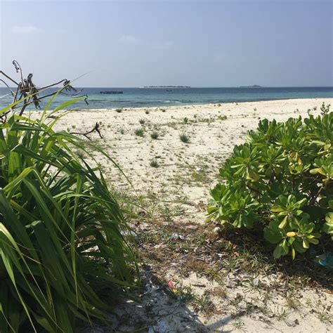 TINY ISLAND MARINE CONSERVATION CENTRE (2026) All You Need to Know ...