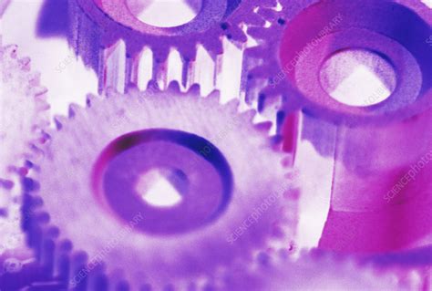 Image result for CSEC Cogs