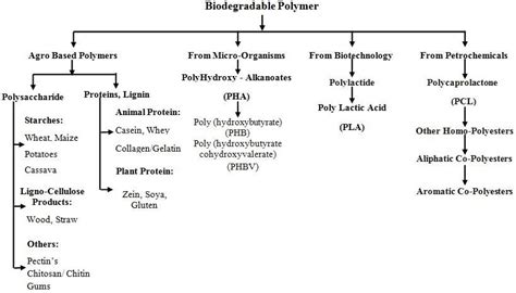 Image result for Biodegradable Polymers Flowchart