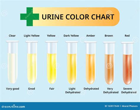 Urine Color Chart, Urine in Test Tubes, Medical Vector Stock Vector ...
