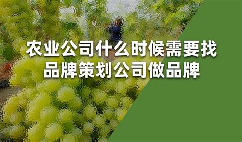 2019年国家现代农业产业园创建名单-江苏思威博生物科技有限公司