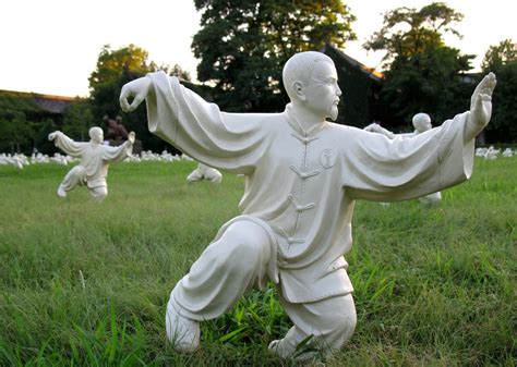 Tai Chi Flow Motion 的图像结果