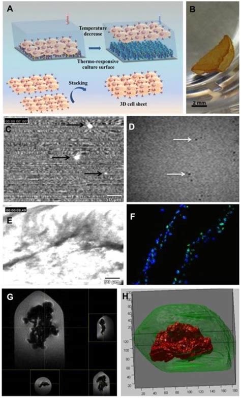 Image result for Mathorks