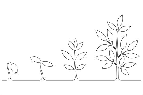 Image result for Line Graph Life Science