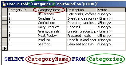 View Data with a Select Query Find and View 的图像结果