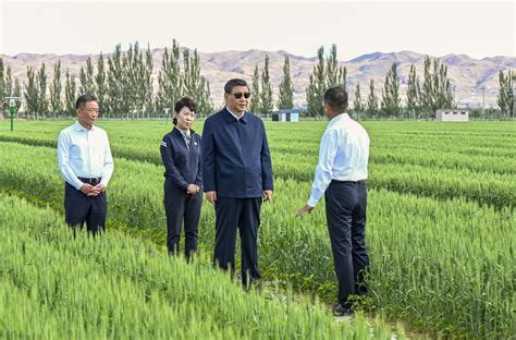 Agriculture Xi