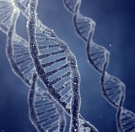 DNA双螺旋结构有什么基本特点呢？_百度知道