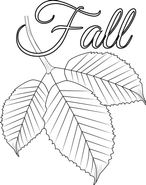 Hello, September autumn fall vector art hand-drawn illustration, natural leaf collection, pencil ...