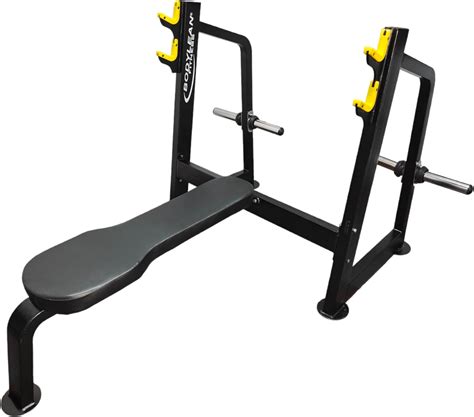 Bodylean Fitness Flat Olympic Gym Bench Press Heavy Duty 350 kg ...