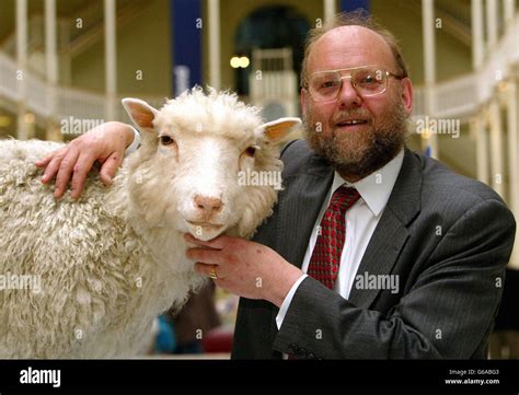 Dolly clone sheep hi-res stock photography and images - Alamy