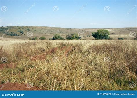 The South African Veld during Winter Stock Photo - Image of south ...