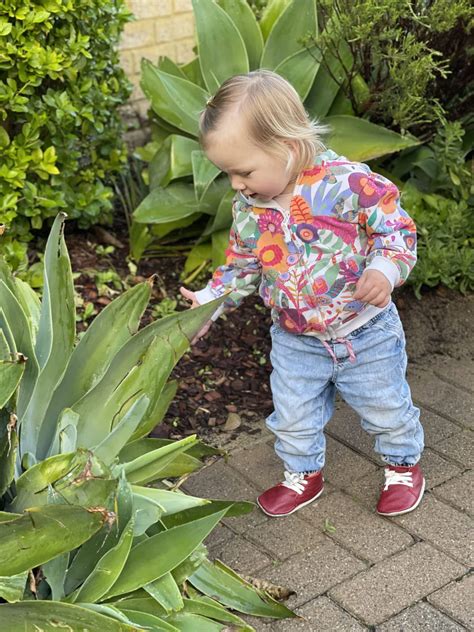 Wear Shoes 的图像结果