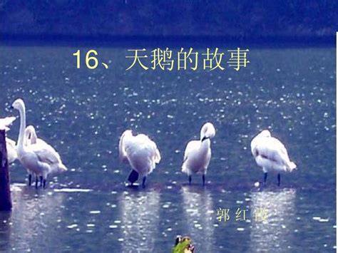 Code API 的图像结果