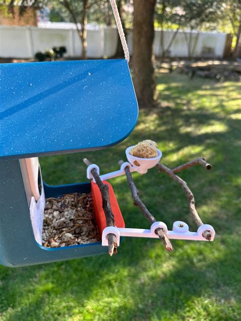 For Bird Buddy Feeders: Design Your Own Perch With 2 Accessory ...
