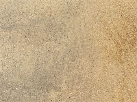 Free Images landscape, desert, sand dune, sandy, habitat, sahara ...