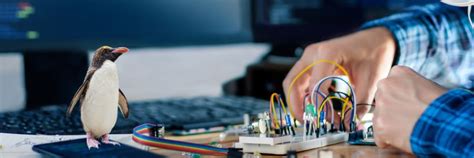 Linux Embedded Development 的图像结果