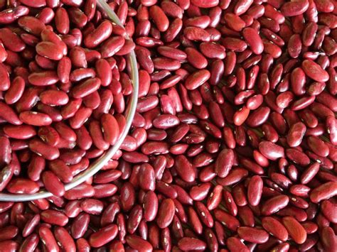 This why soaking kidney beans before cooking is so important | The ...