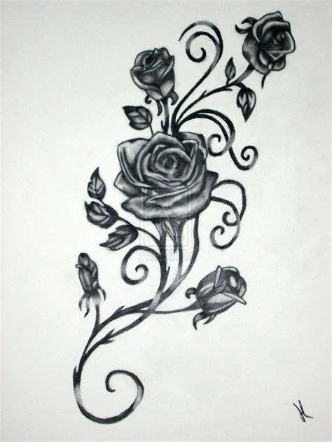 Rose Vine Drawing at PaintingValley.com | Explore collection of Rose ...