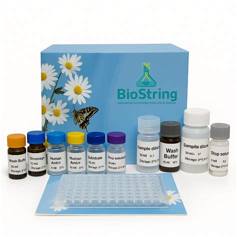Human NOS2/iNOS ELISA Kit | BSELK-048H | Biostring