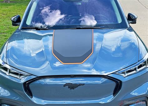 Vinyl Graphics 的图像结果