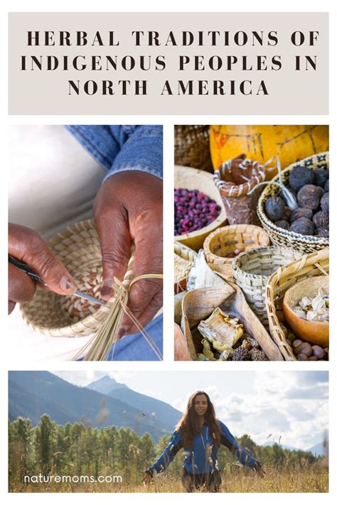 Exploring Native Food Sources of Indigenous Australian Tribes