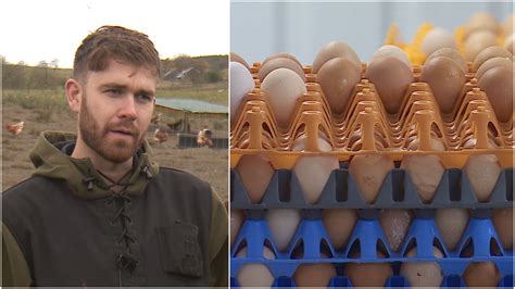 Rising energy prices and bird flu threat cause fears over egg shortage ...