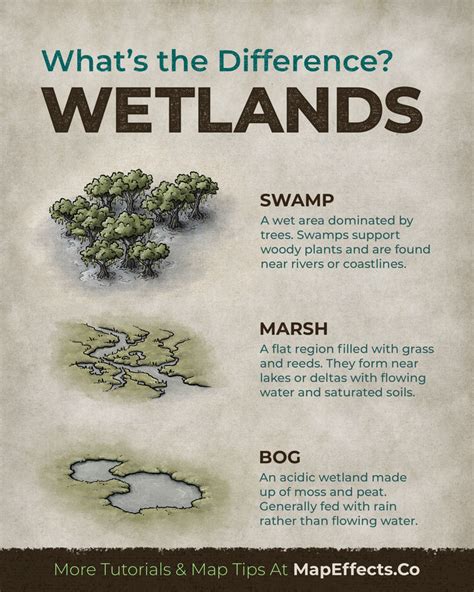 Swamp World Map 的图像结果