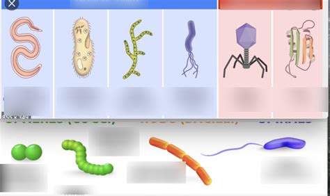 Pathogens 的图像结果
