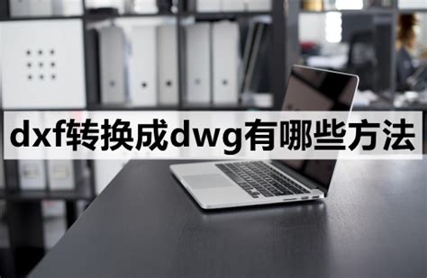 DXF to BiesseWorks 的图像结果