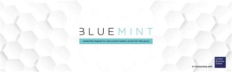 Blue Mint | Tata Tomorrow University