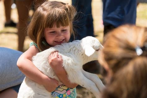 Image result for Spring Fling Fun