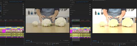 Image result for Asus Computer Monitor Color Problem