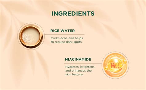 Biotique Rice Water & Niacinamide Gel Moisturizer for All Day Hydration ...