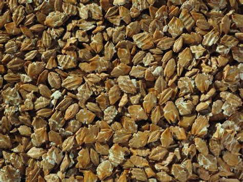 Torrified Flaked Barley | MyBrewery