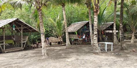 MANGROVE PARK AND BEACH RESORT (Sagay City) - Lodge Reviews & Photos ...